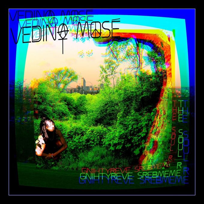 Vedina Rose – The Soul Remembers Everything cover